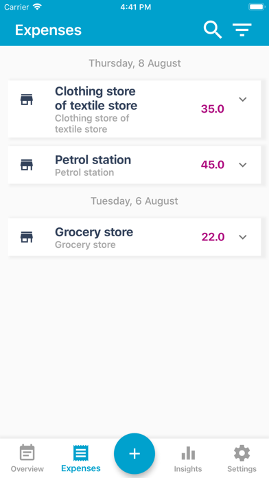 Household Budget Survey Screenshot