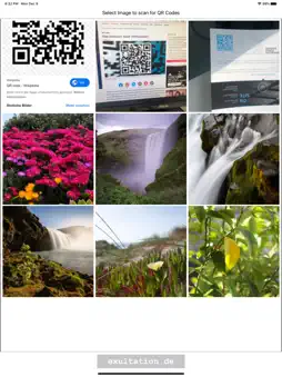 QR Code (Pro) screenshot 4