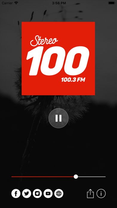 Screenshot #2 pour Stereo 100