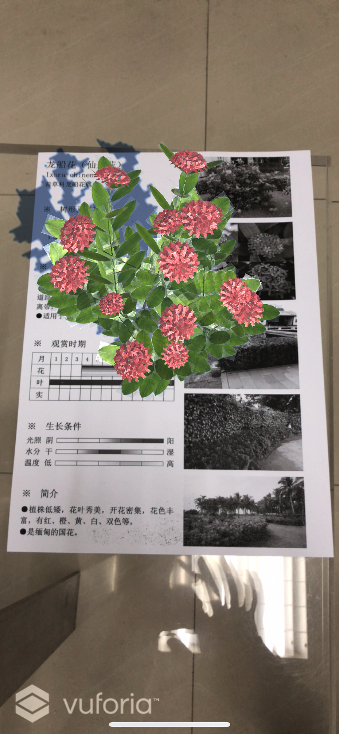 ArPlant