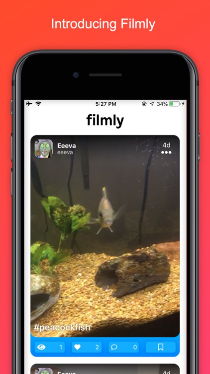 filmly - short looping videos