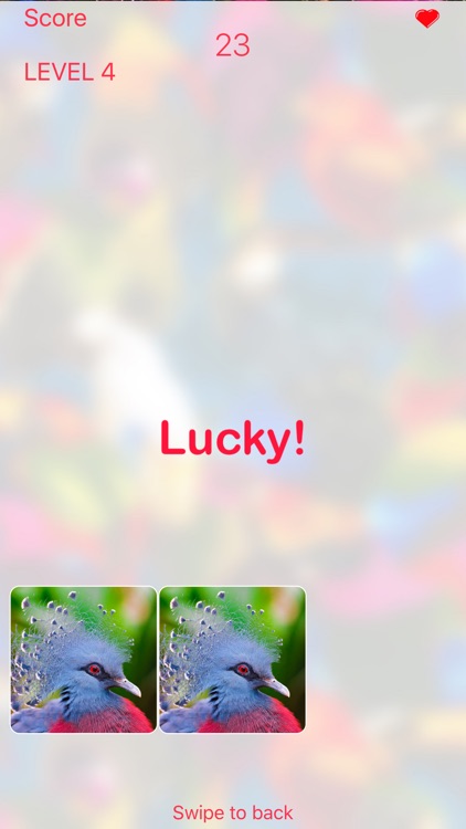 Parrots Card Game screenshot-4