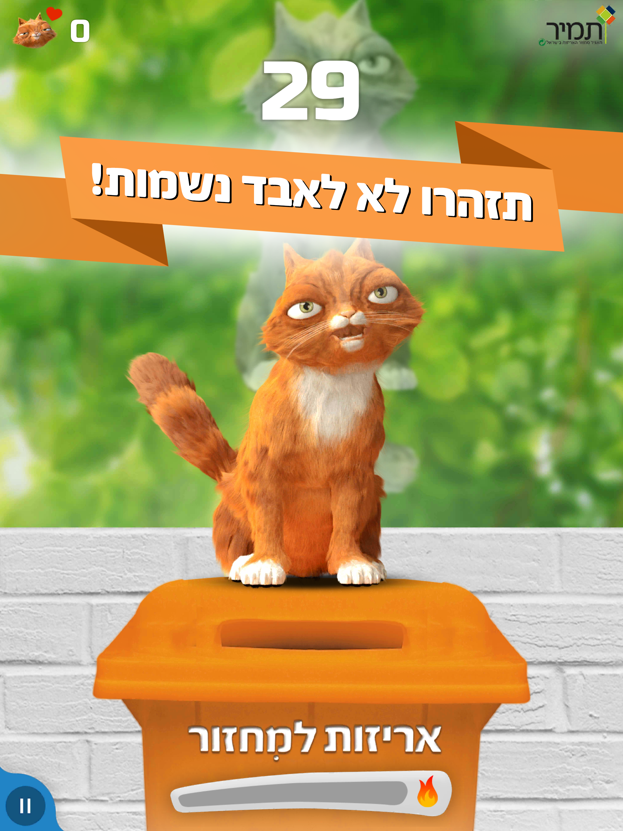 של תמיר Catomolo - כתומולו