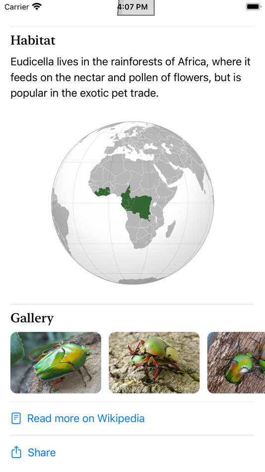 #3. Insecta - Study Insects in AR (macOS) 由: Samira Sadeghi