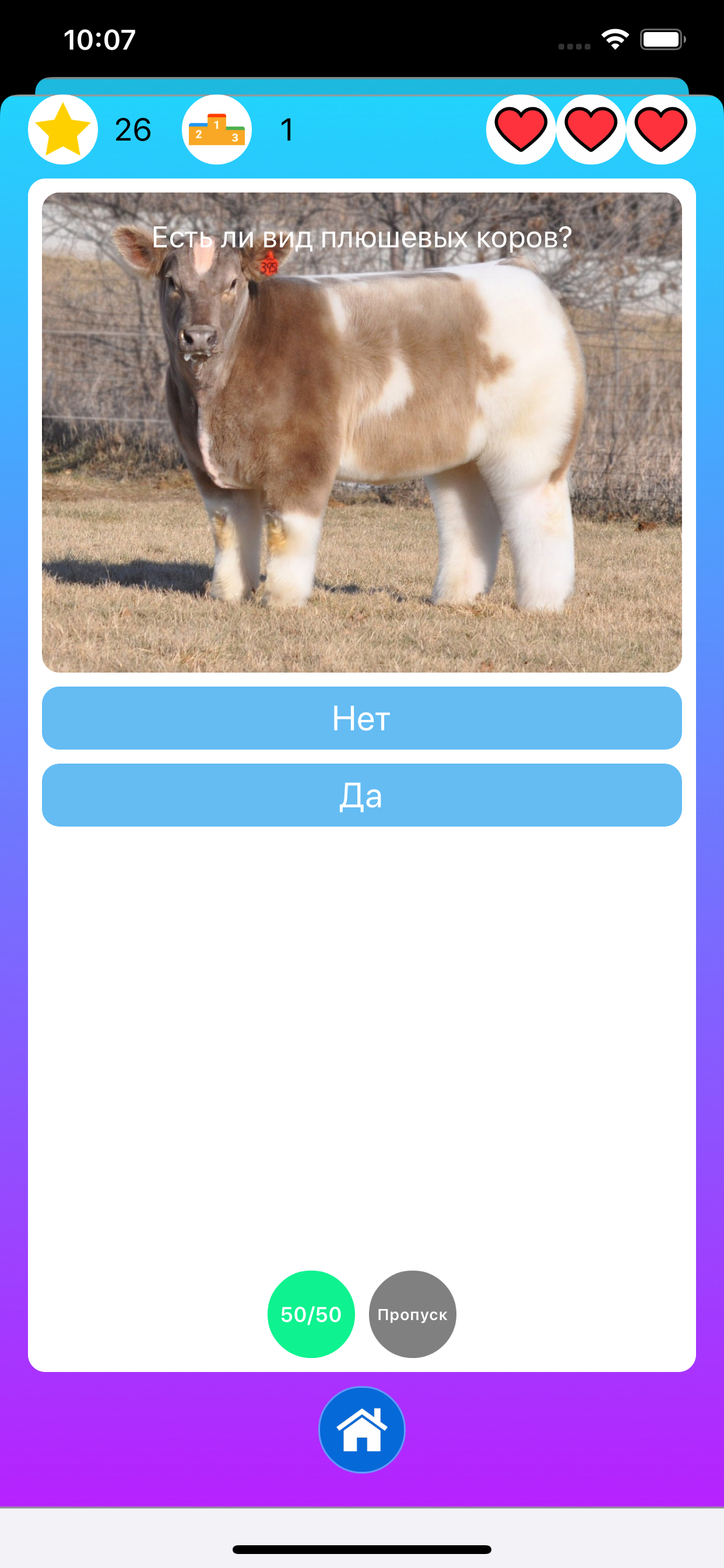 Природа и животные - викторина