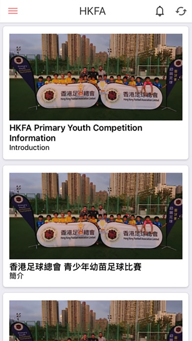 HKFA Golden Age screenshot 2