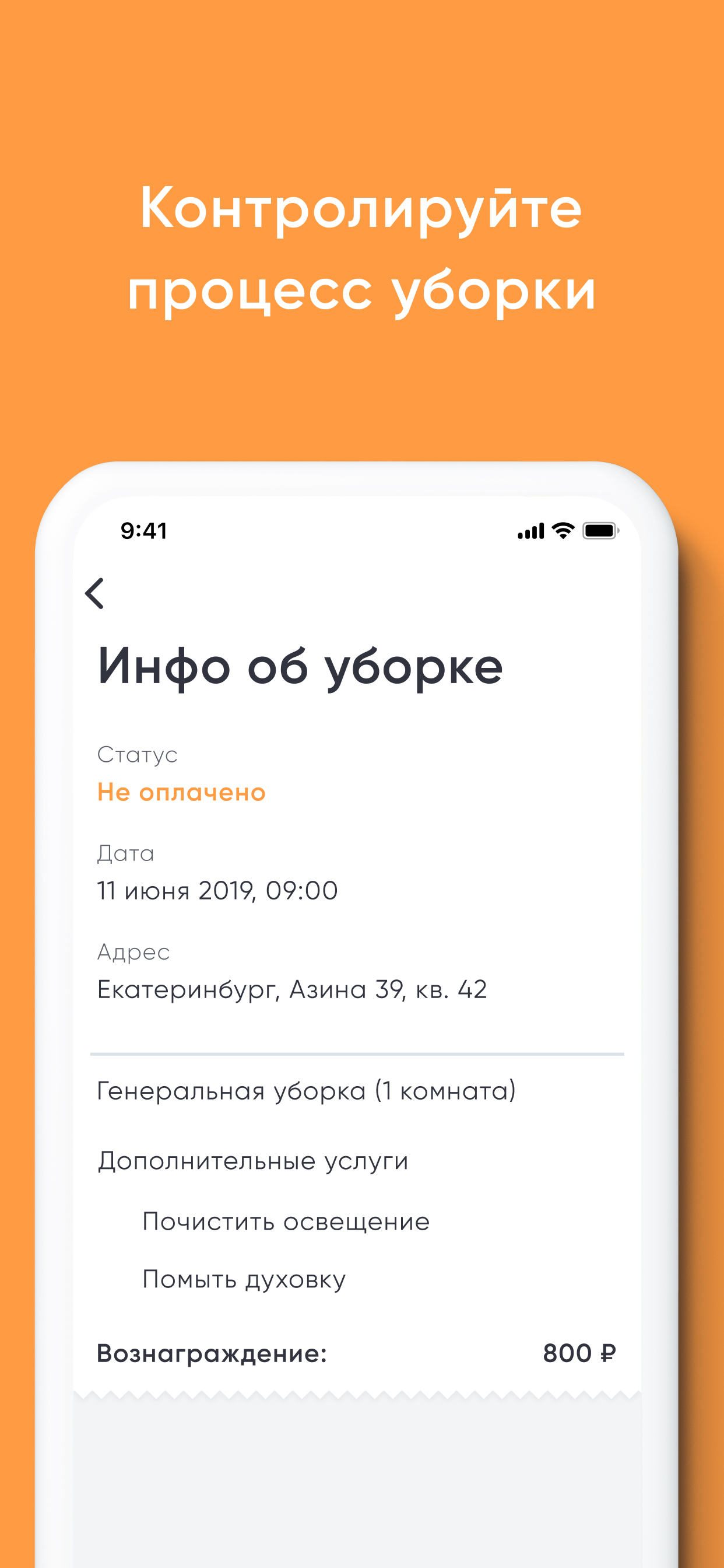 SVOI Cleaner