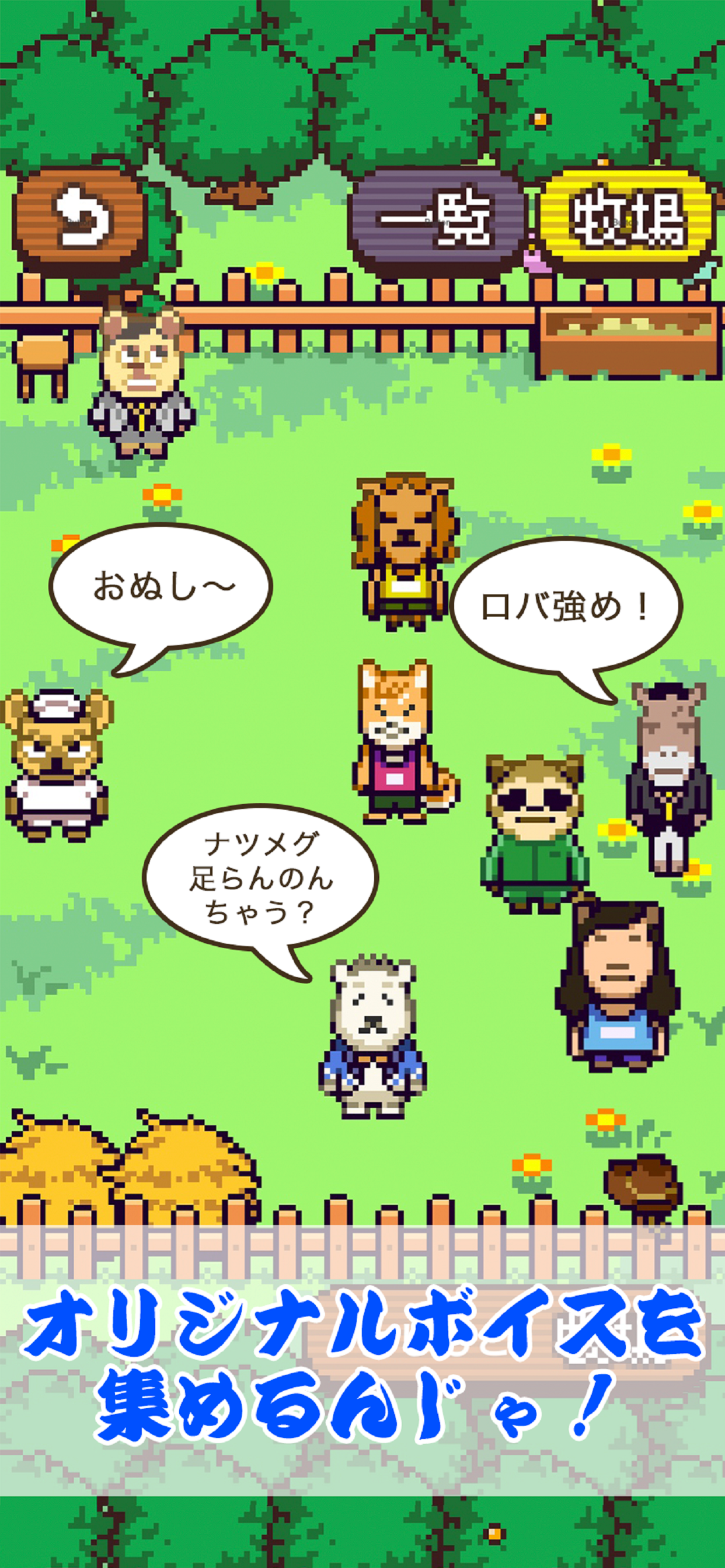 対決！よしもと大運動会