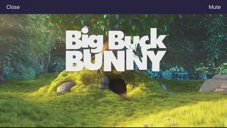 Play Stream