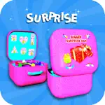 Surprise Pockets! Guess What? App Contact