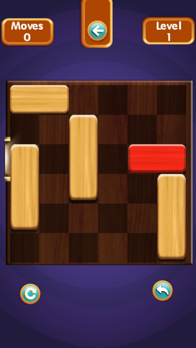Unblock Puzzle Pro Screenshot