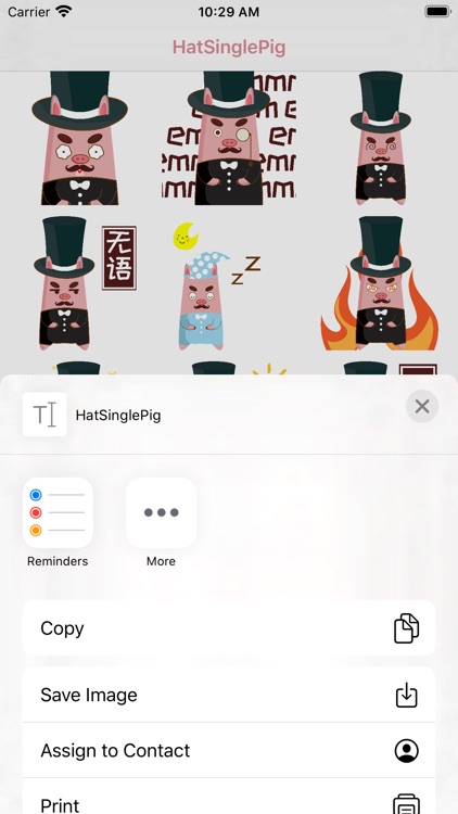 HatSinglePig screenshot-3