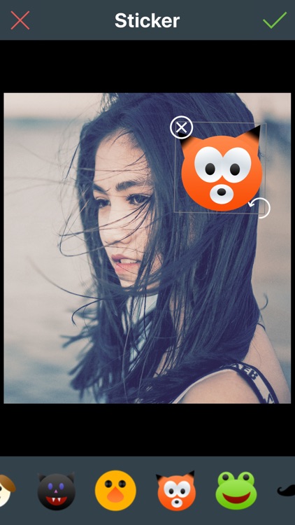 DS Photo Editor