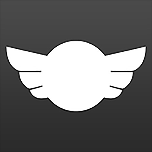 Sky Rider Control Icon