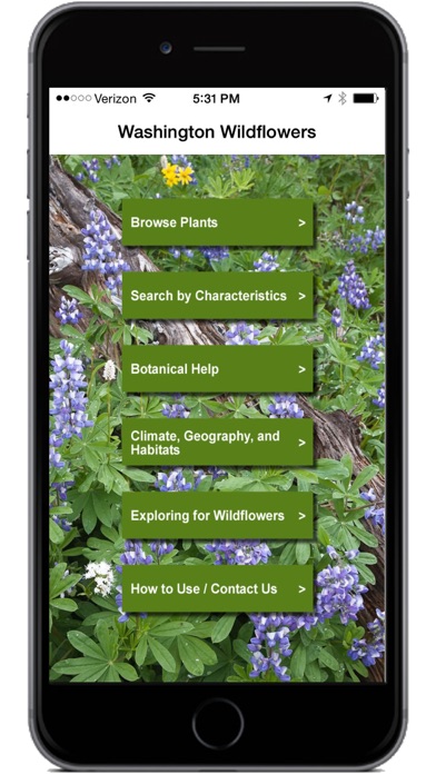 Washington Wildflowers Screenshot