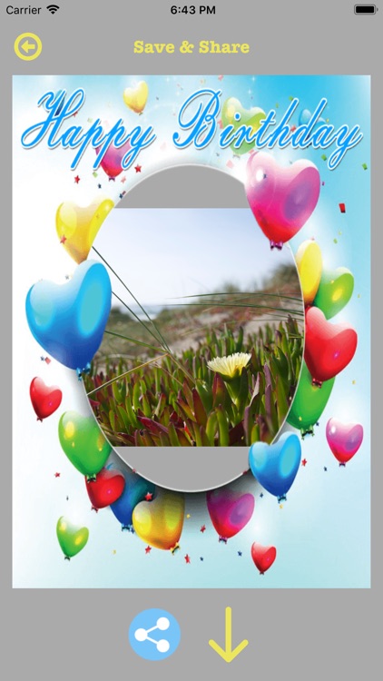 Birthday Photo Maker App 2019 screenshot-3