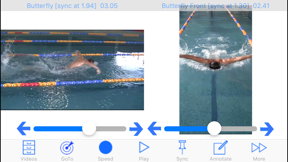 Swim Coach Plus HD screenshot