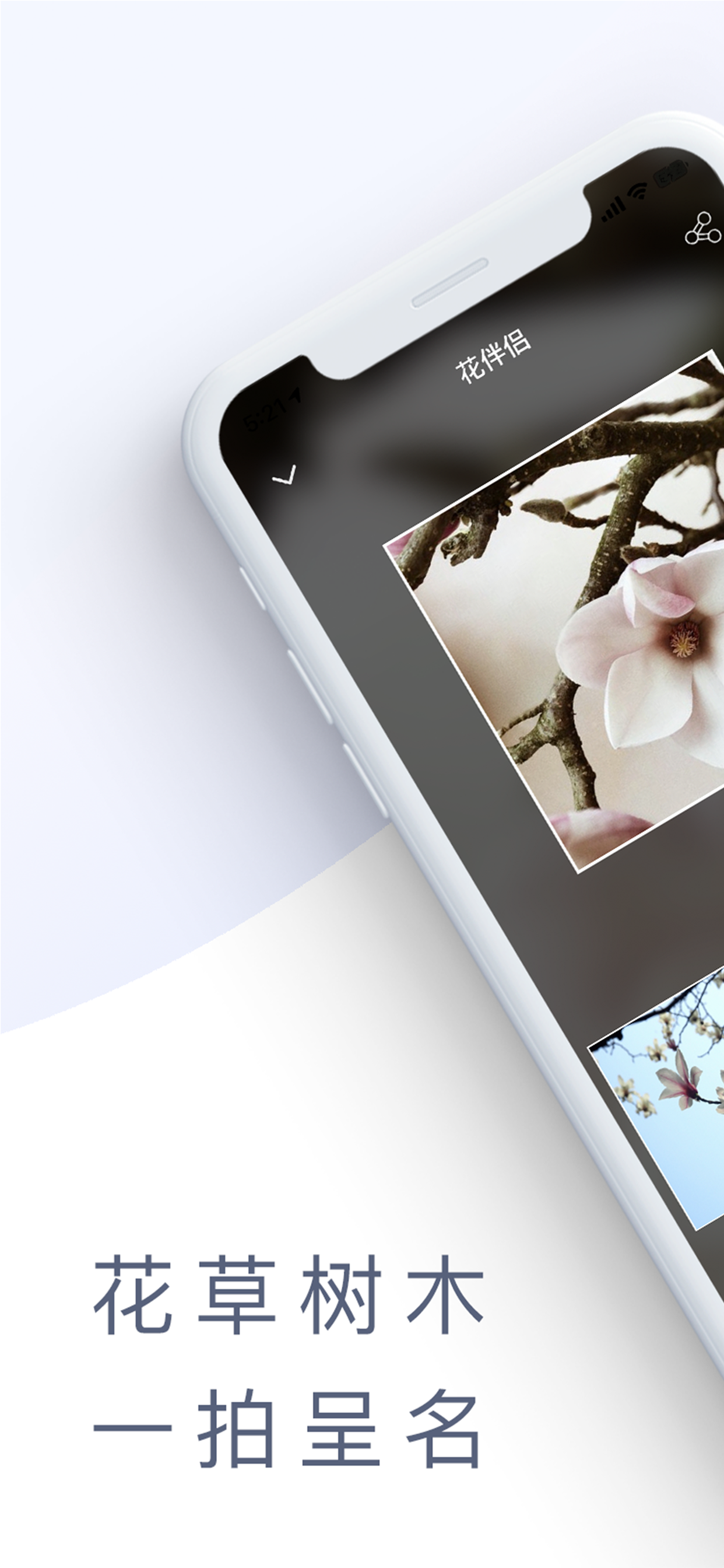 花伴侣-拍照识花精准植物识别应用