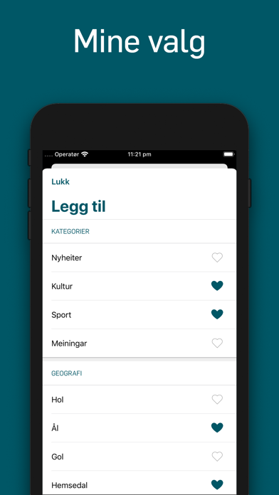 Hallingdølen screenshot 2