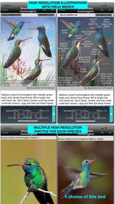iBird Plus Guide to Birdsのおすすめ画像10