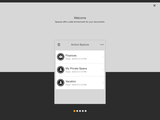 Screenshot #5 pour TeamDrive 5 Enterprise