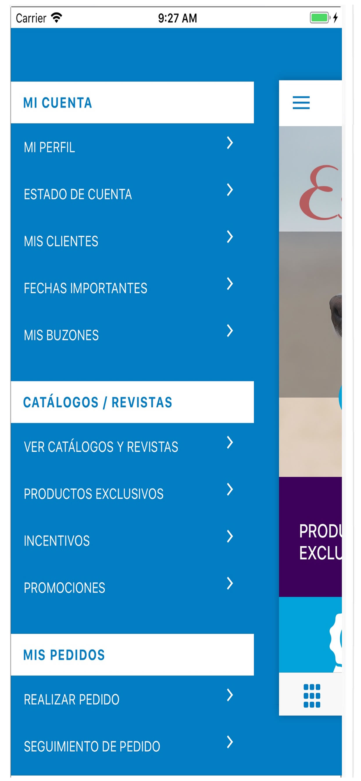 Estilos