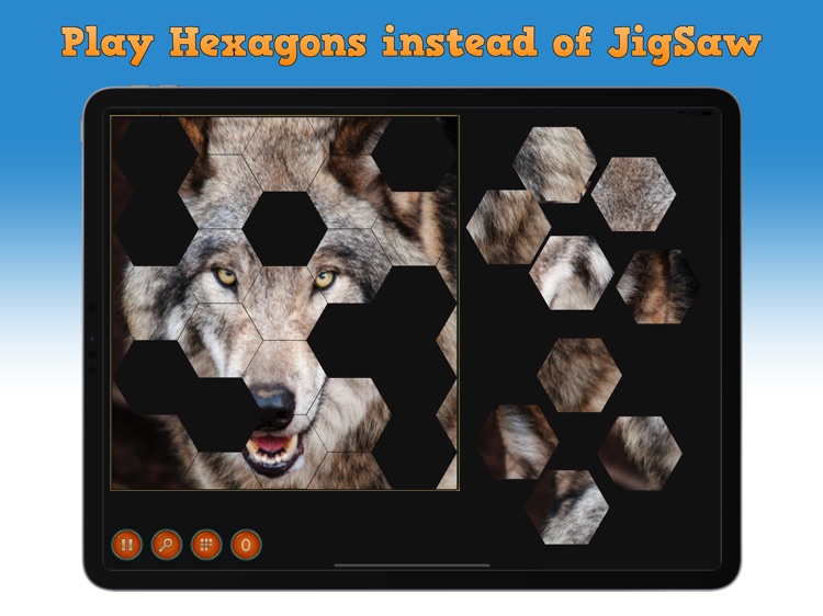 Hexagons Puzzles