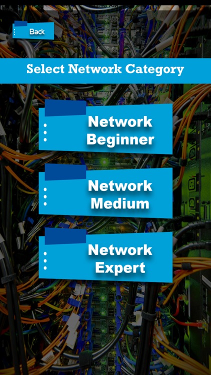 Computer Network Quest