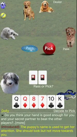 K9 Sheepshead: Schafkopf screenshot 3
