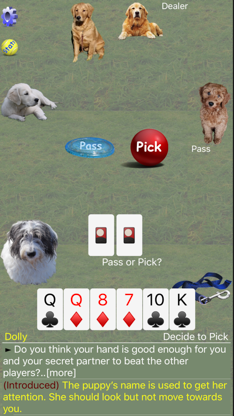 K9 Sheepshead: Schafkopf screenshot 3