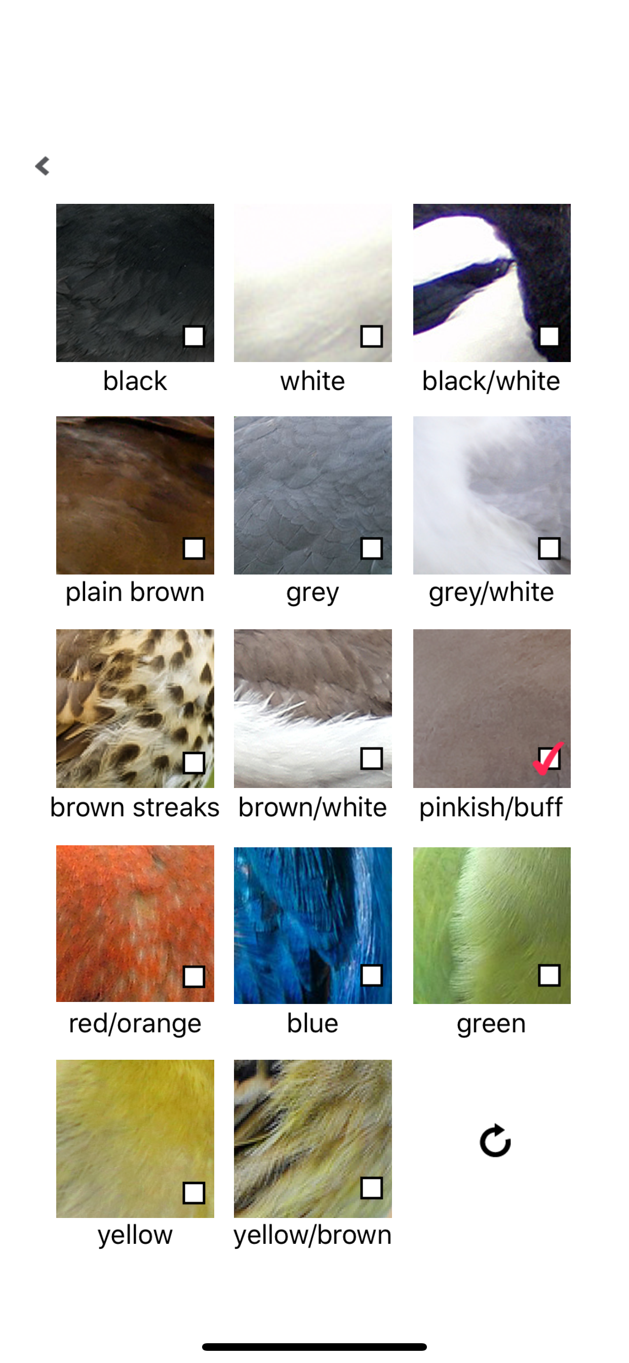 Birds of Britain Pro