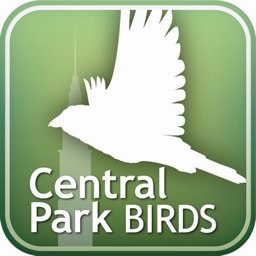Audubon Birds of Central Park