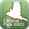 Nothing beats Audubon mobile field guides