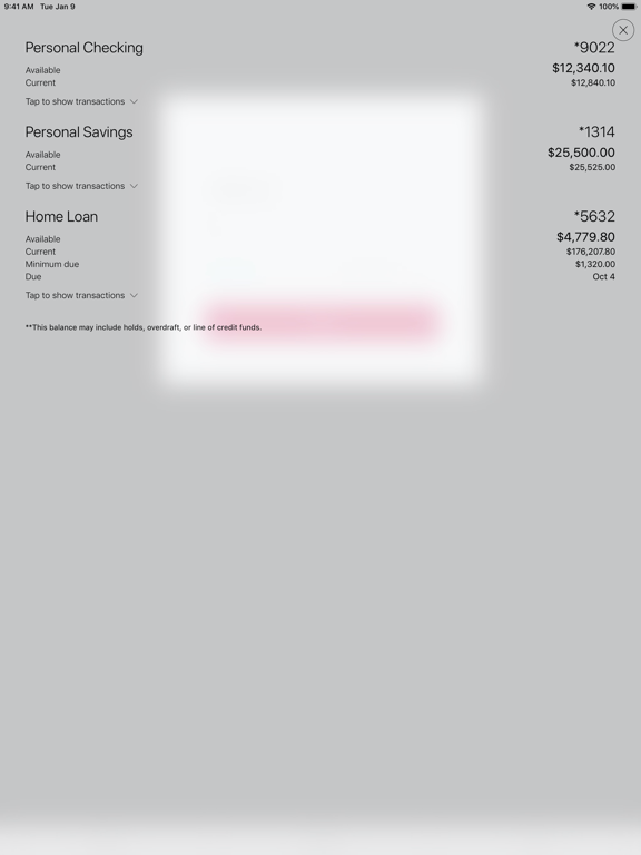 Screenshot #4 pour The Marion National Bank