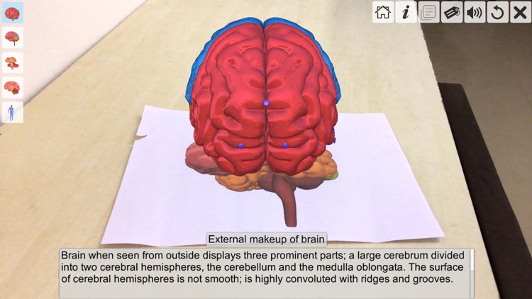 AR Human brain screenshot-3