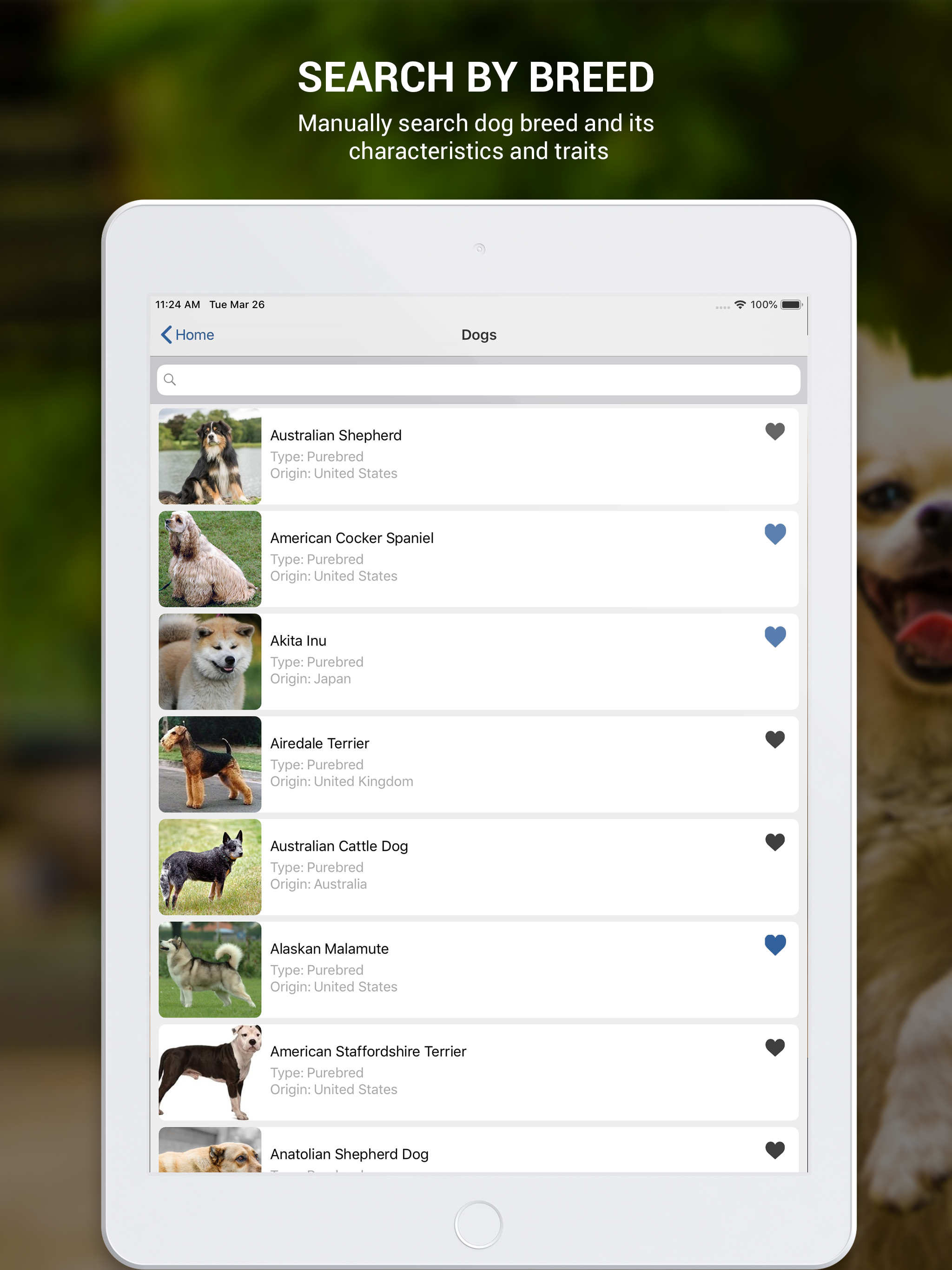 Dog Book: Breed Identifier