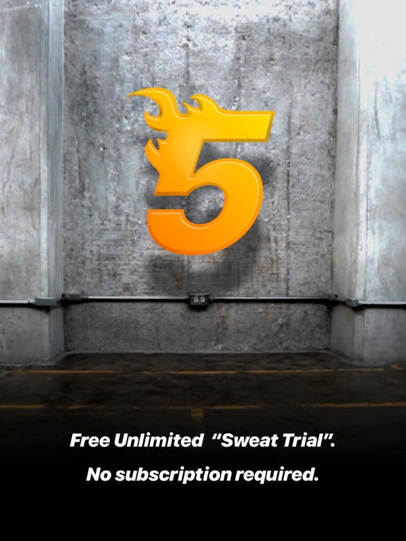 Furious Five - Home Workout iPad screenshot 6 - Health & Fitness app