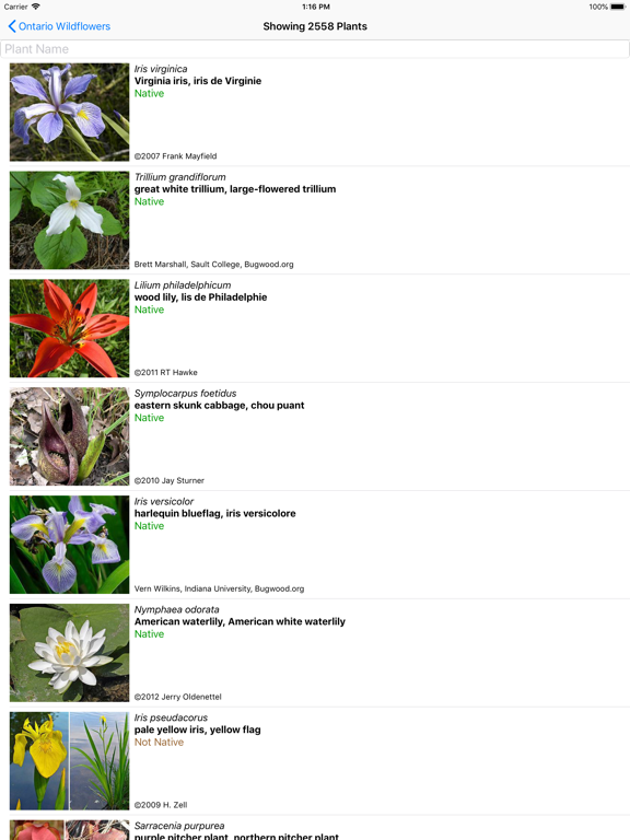 Screenshot #5 pour Ontario Wildflowers