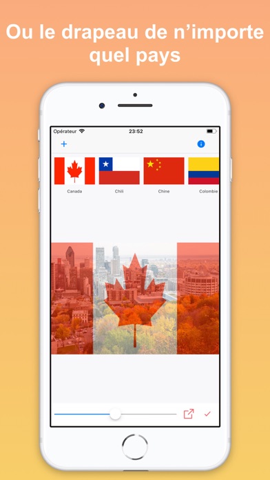 Screenshot #2 pour Country Flag Lite
