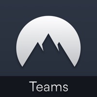 NordVPN Teams: business VPN apk