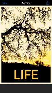 hope meme maker iphone images 4
