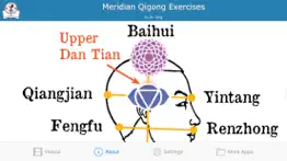 meridian qigong exercises iphone images 4