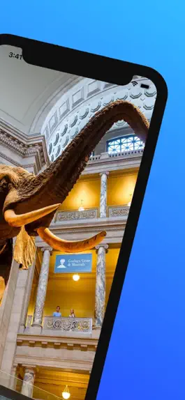 Game screenshot American Museum of Nat History apk