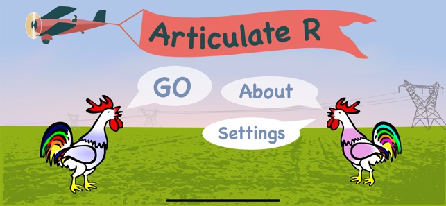 Articulate R