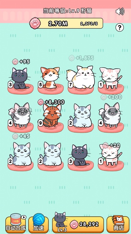 我的小猫-花花