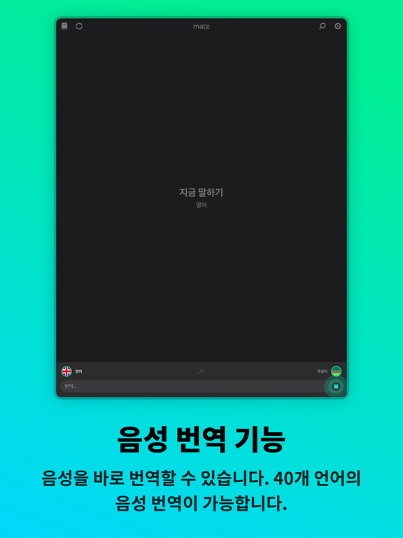 메이트 - 번역기 및 사전 iPad screenshot 4