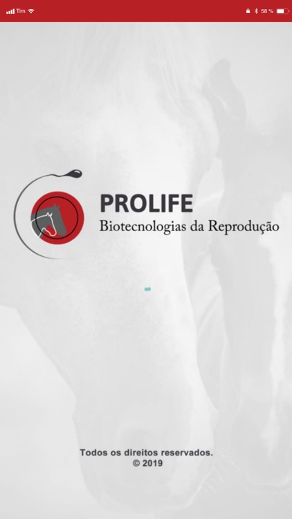 ProLife Reprodução Equina