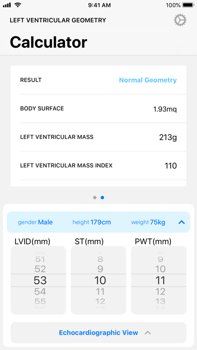 LVG Calc screenshot 2