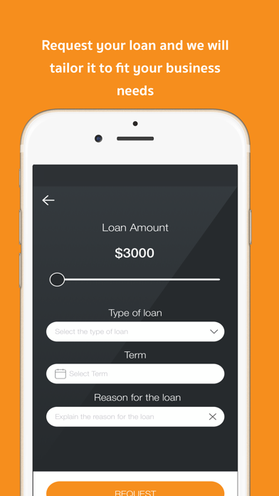 Screenshot #3 pour Our Microlending