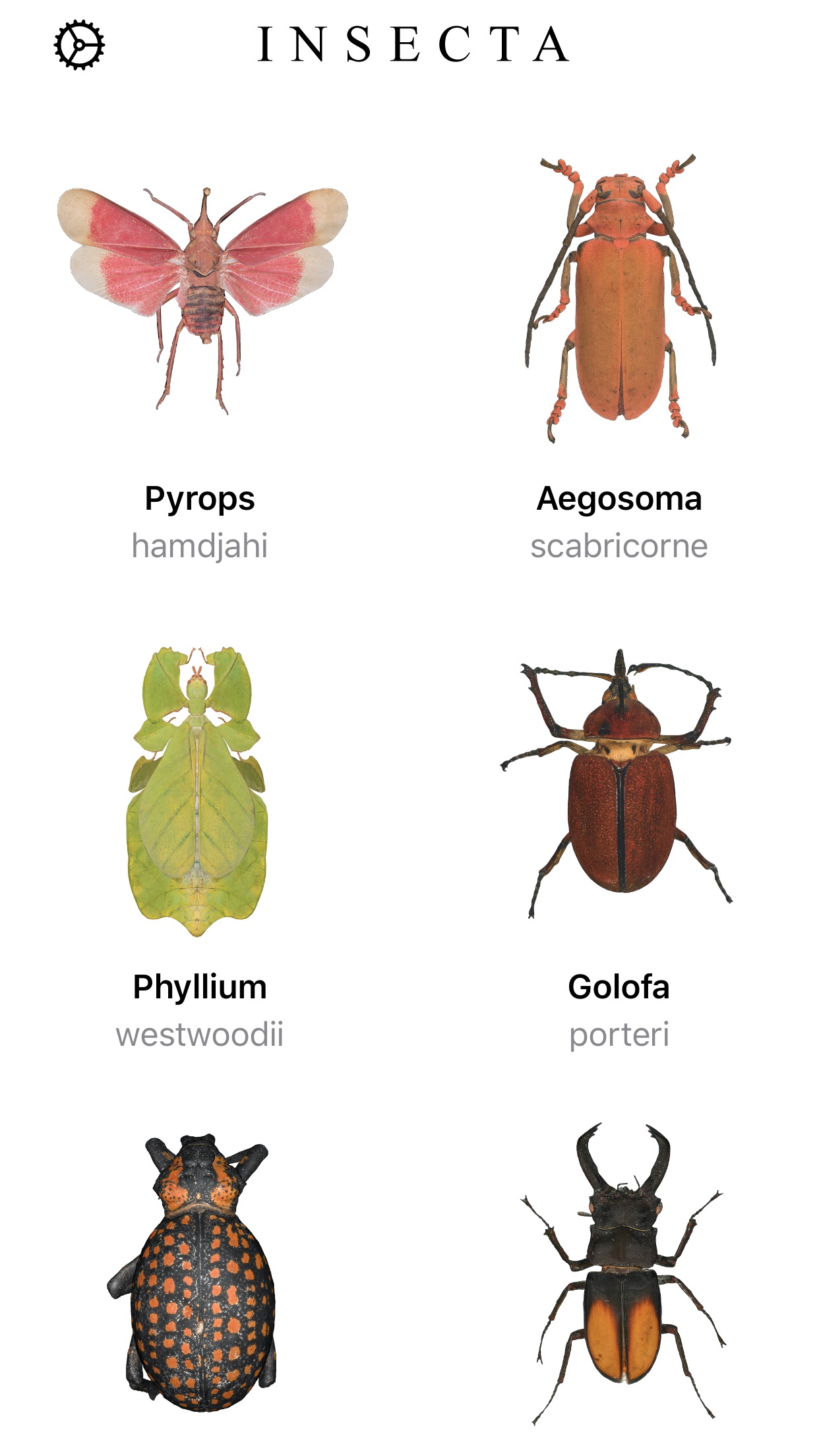 Screenshot do app Insecta - Study Insects in AR